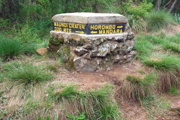 6-Day Kilimanjaro Marangu Climb