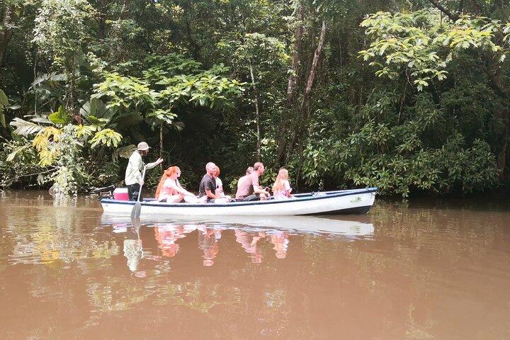 Electric Canoe Tour in Tortuguero National Park