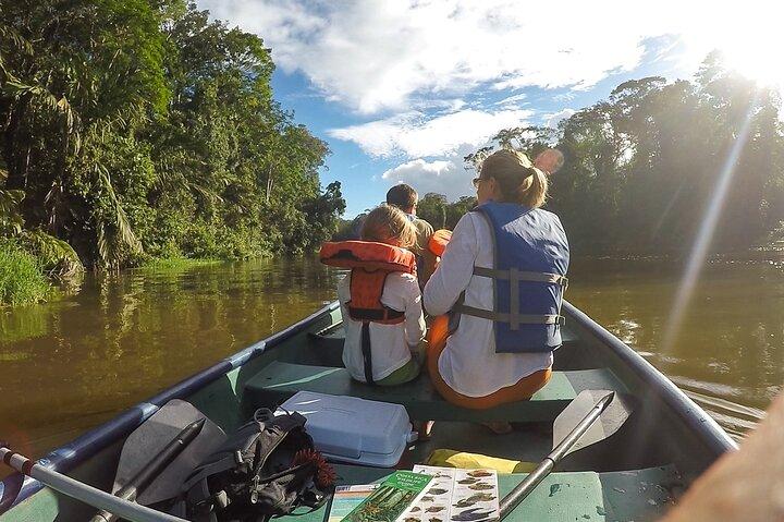 Electric Canoe Tour in Tortuguero National Park