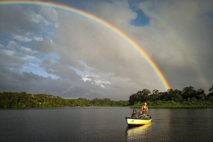 Electric Canoe Tour in Tortuguero National Park