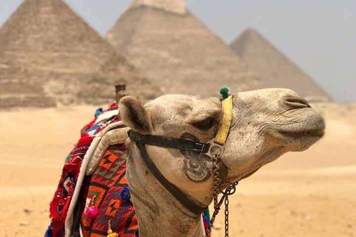 Half-Day Private Tour of Giza Pyramids with Camel Ride
