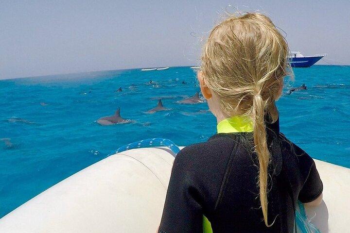 Sataya Dolphin House Snorkel Trip - Marsa Alam