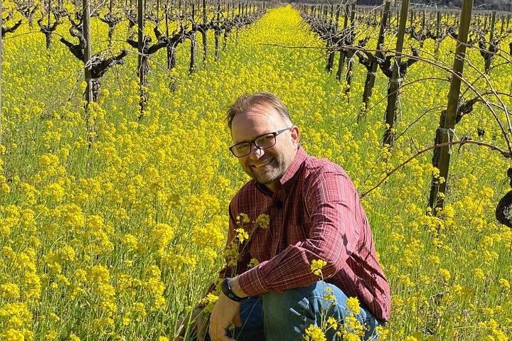 Wine Tour Pros - Corporate Charters and Events