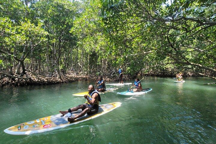Nature Stand Up Paddle Boarding Experience in Miami