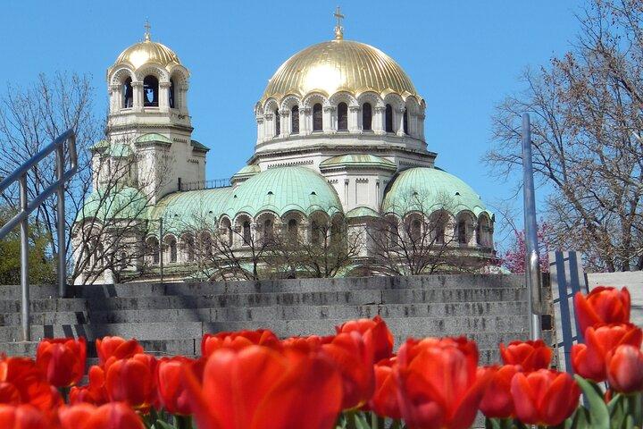 Private city walking tour of Sofia