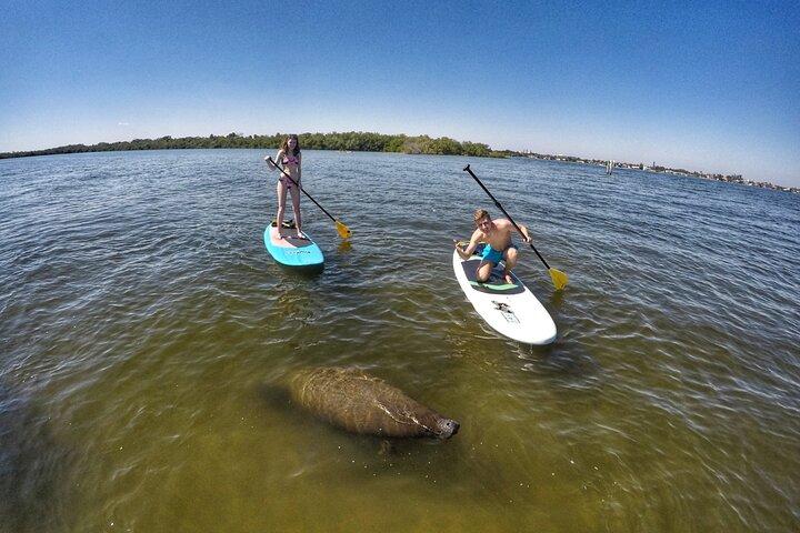 Paddle Boarding Eco Adventure Tour Jupiter Florida - Singer Island