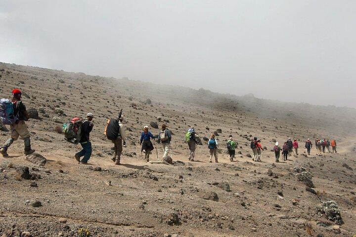 8 Day Kilimanjaro Lemosho Climb