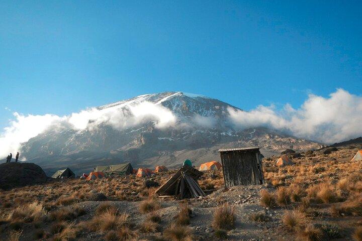 8 Day Kilimanjaro Lemosho Climb