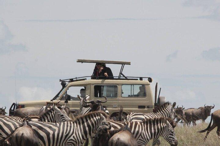 5-Day Luxury Best of Tanzania