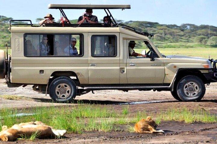 5-Day Luxury Best of Tanzania