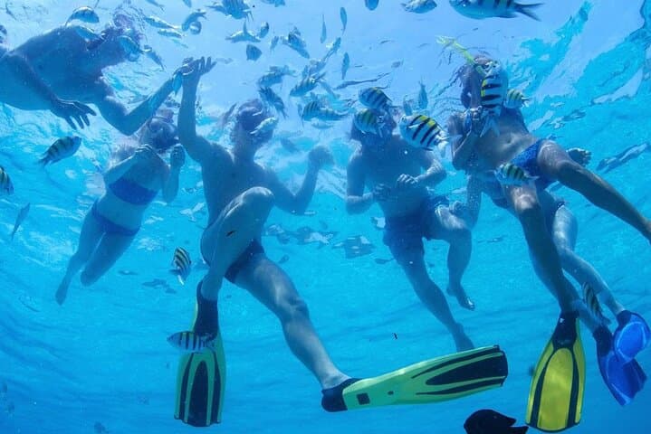 Two Dives for certified divers in Fujairah