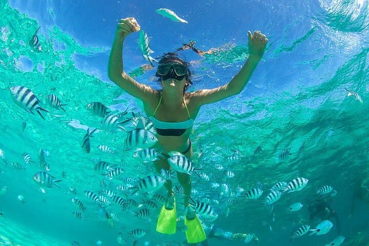 From Dubai: Snorkeling trip in Fujairah