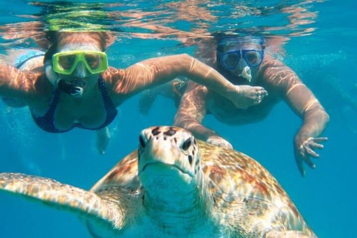 From Dubai: Snorkeling trip in Fujairah