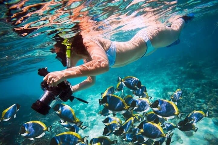 From Dubai: Snorkeling trip in Fujairah