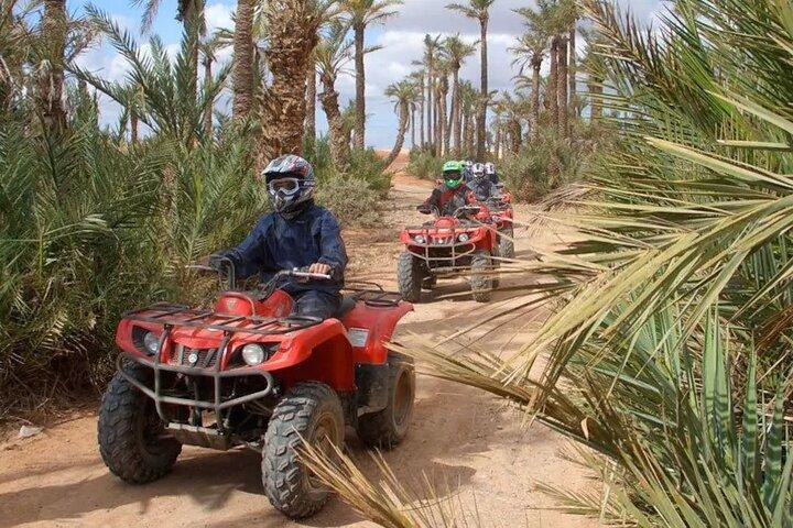 2h Quad ride in the palm grove