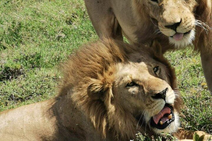 Tarangire National Park Private Day Tour