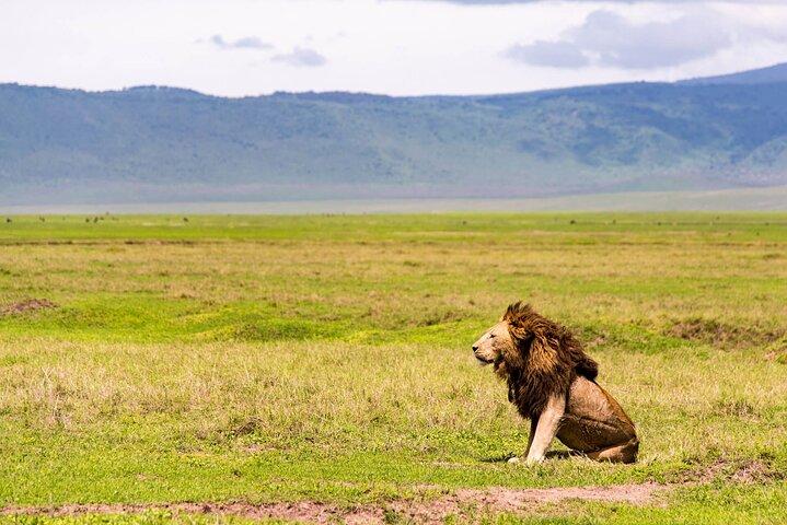 6-Days Private Luxury Safari & Walking Safari – Northern Tanzania