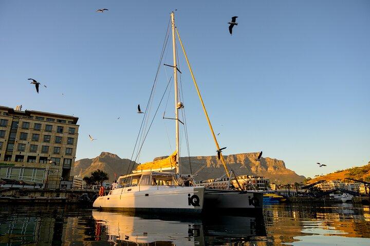 Catamaran Cruise in Cape Town