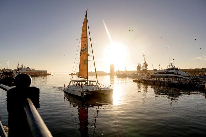 Catamaran Cruise in Cape Town
