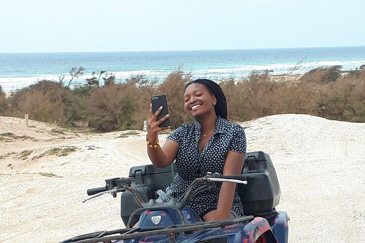 Day Tour Bandia Wildlife Reserve and pink lake