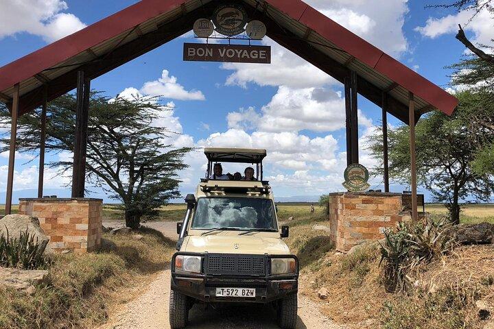 4Days Private camping Safari Tarangire, Serengeti, Ngorongoro
