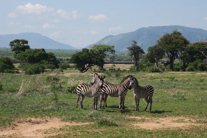 2 Days Mikumi Private Safari from Zanzibar with Accommodation