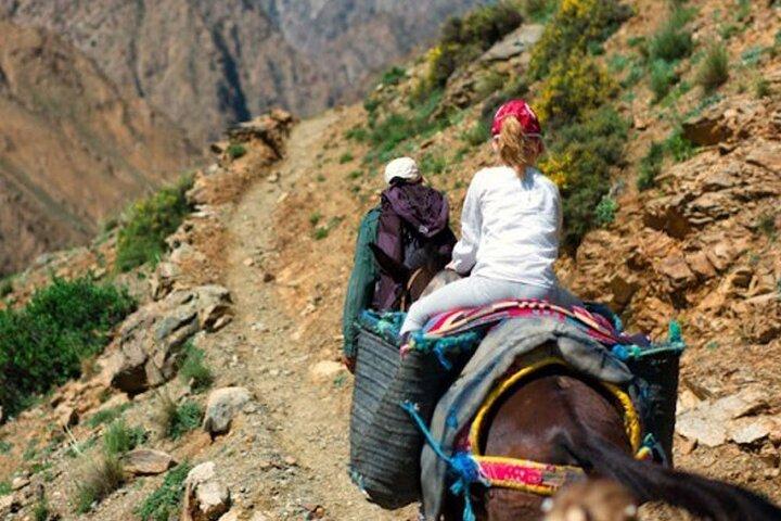 4-Day Trek In Atlas Mountains and Berber Villages & Waterfalls