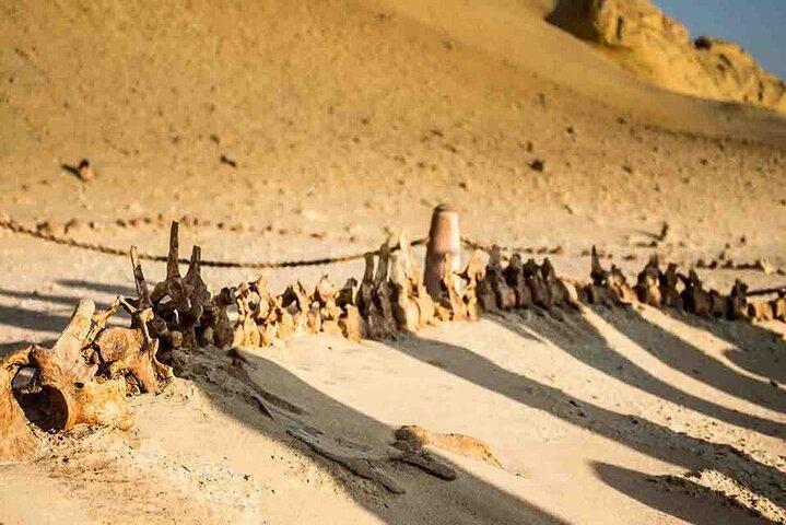 From Cairo: Special Day in El-Fayoum