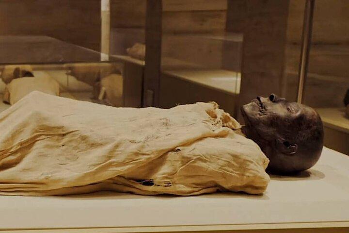 Cairo National and Egyptian Antiquities Museum Tour with Lunch