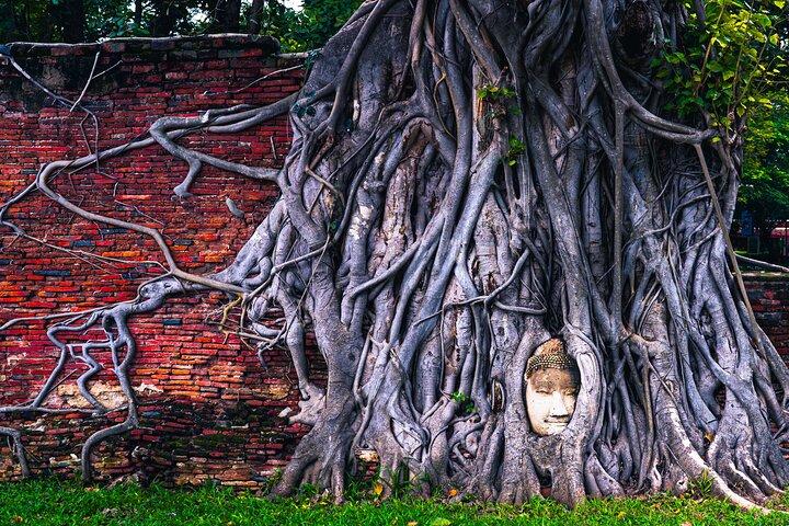 Bangkok Private Car: Ayutthaya Mahathat, Wat Chai & Market (8h)