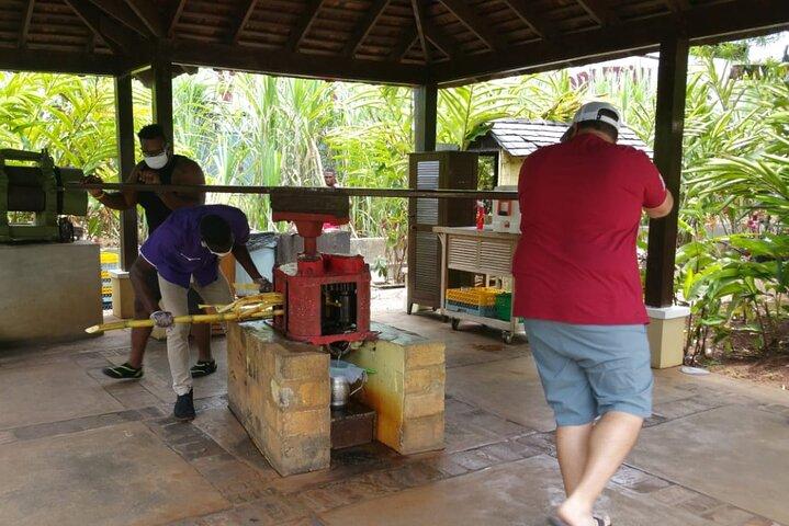 Appleton Estate Rum Tour and Pelican Bar Customize Tour
