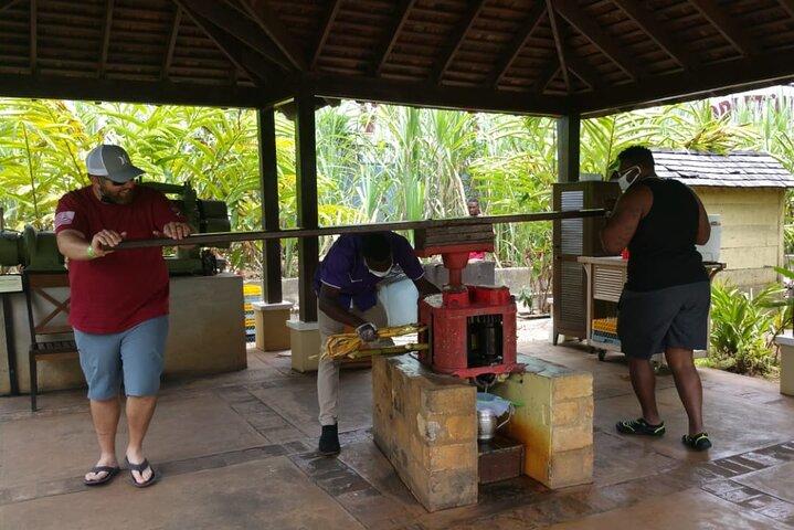 Appleton Estate Rum Tour and Pelican Bar Customize Tour
