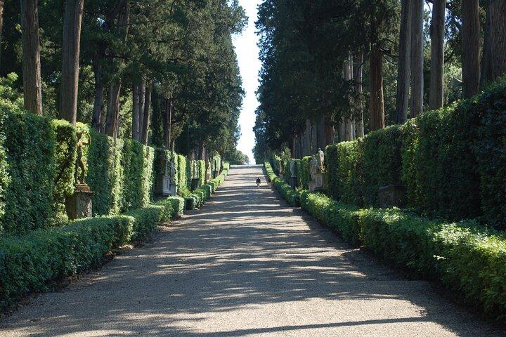 Boboli & Bardini Gardens: The Green Heart of Florence