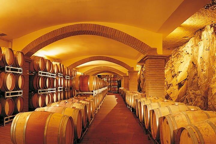 Truffle hunting and lunch experience, with Vinci and winery.