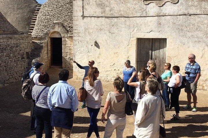 Guided tour through the vineyards with local wine tasting