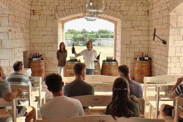 Guided tour through the vineyards with local wine tasting