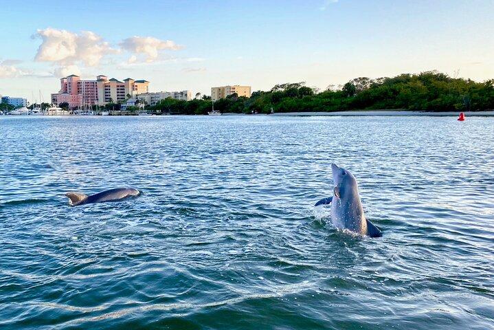 Sunset and Dolphin Cruise around Fort Myers Beach