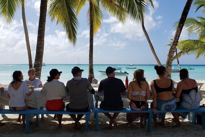 Small Group: Saona Island Full Day Tour