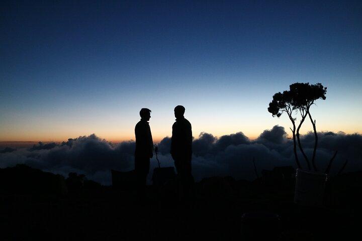 1 Day Marangu route trip up to Mandara Hut | Kilimanjaro hiking