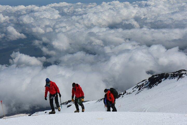 1 Day Marangu route trip up to Mandara Hut | Kilimanjaro hiking