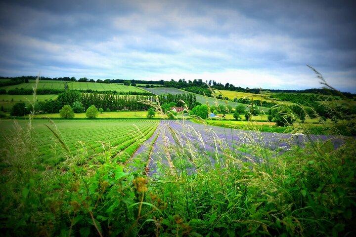 Stratford-upon-Avon and the Cotswolds - Day Tour from Brighton