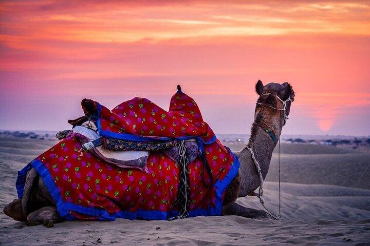 Guided Jaisalmer City Tour With Drop Off at Bikaner