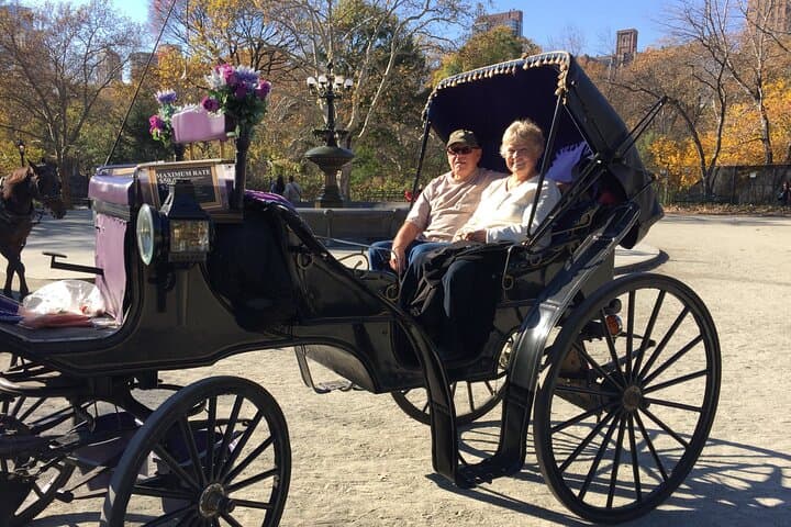 NYC Central Park VIP Horse and Carriage Ride