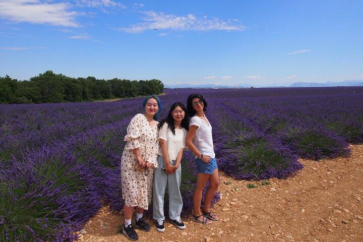 Lavender Fields Tour in Valensole from Marseille