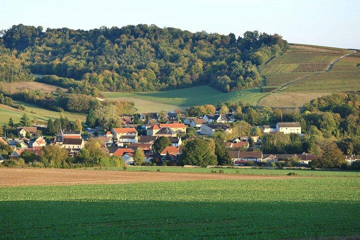 Champagne Guy De Chassey : Premium Tour and Tasting