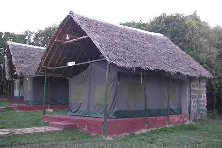 5-Day Masai Mara, Lake Nakuru & Naivasha Budget Camping Safari
