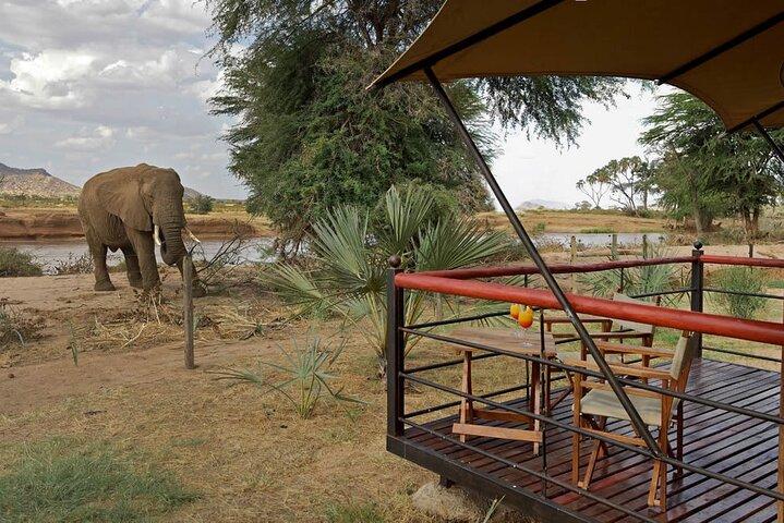 5-Day Masai Mara, Lake Nakuru & Naivasha Budget Camping Safari