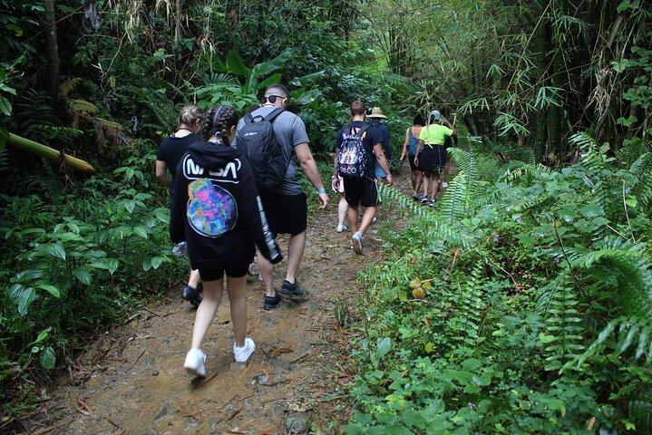 Trio Tour: El Yunque, Luquillo Beach, and Bio Bay Night Kayaking