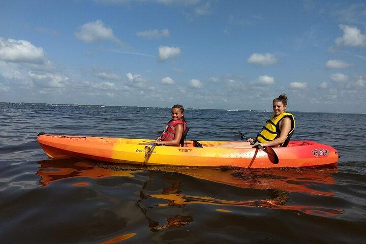 Sunset kayaking tour at Manatee Cove with Manatee & Dolphin sightings