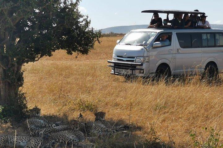 3 Days Budget Private Tour to Maasai Mara with Safari Van